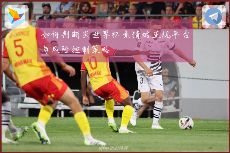 如何判断买世界杯竞猜的正规平台与风险控制策略