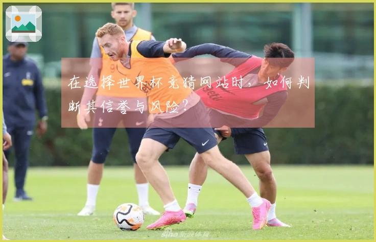 在选择世界杯竞猜网站时，如何判断其信誉与风险？