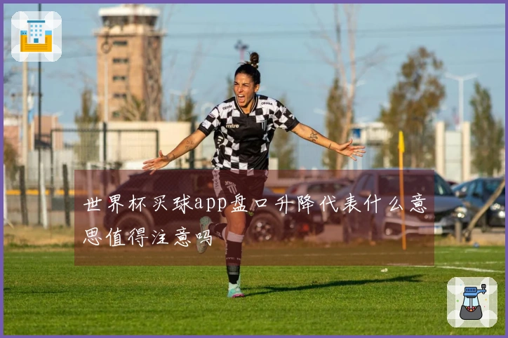 世界杯买球app盘口升降代表什么意思值得注意吗