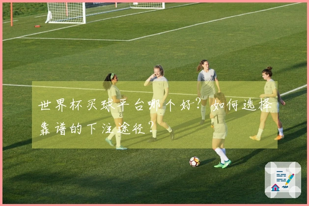 世界杯买球平台哪个好？如何选择靠谱的下注途径？