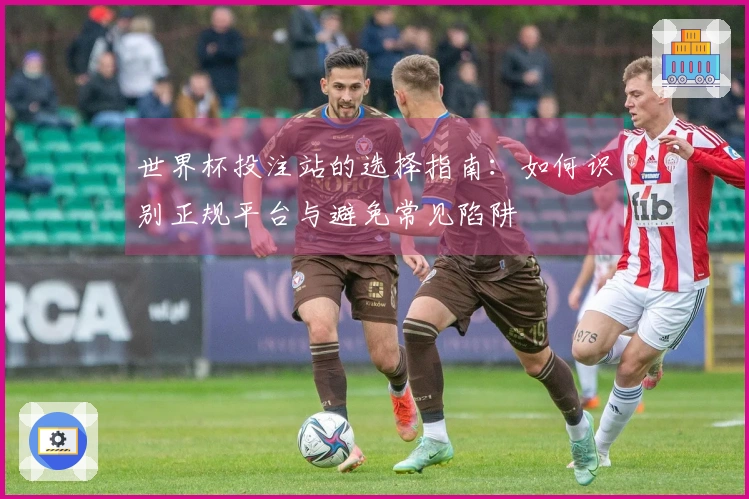 世界杯投注站的选择指南：如何识别正规平台与避免常见陷阱