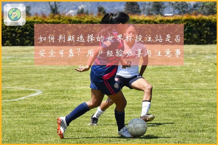 如何判断选择的世界杯投注站是否安全可靠？用户经验分享与注意事项
