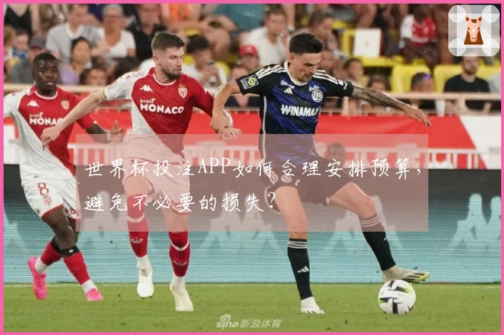 世界杯投注APP如何合理安排预算，避免不必要的损失？