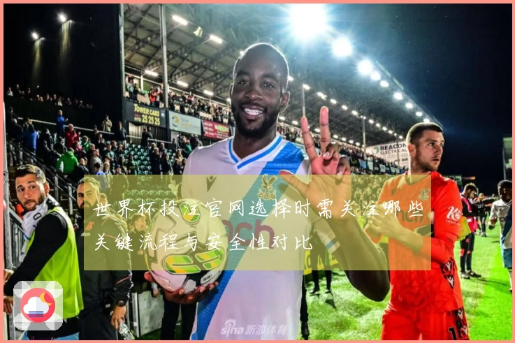 世界杯投注官网选择时需关注哪些关键流程与安全性对比