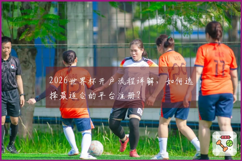 2026世界杯开户流程详解，如何选择最适合的平台注册？