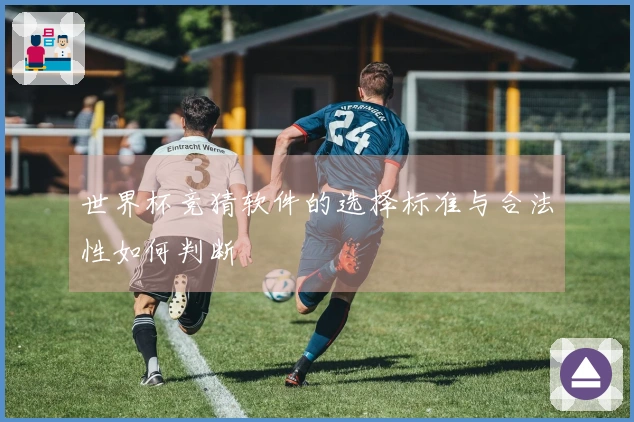 世界杯竞猜软件的选择标准与合法性如何判断