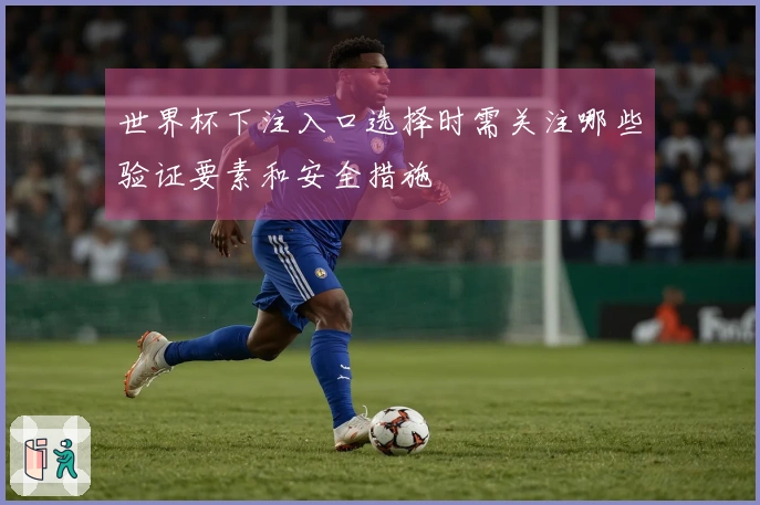 世界杯下注入口选择时需关注哪些验证要素和安全措施