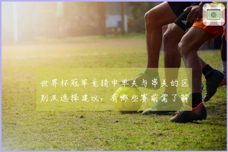 世界杯冠军竞猜中单关与串关的区别及选择建议，有哪些赛前需了解的要点？