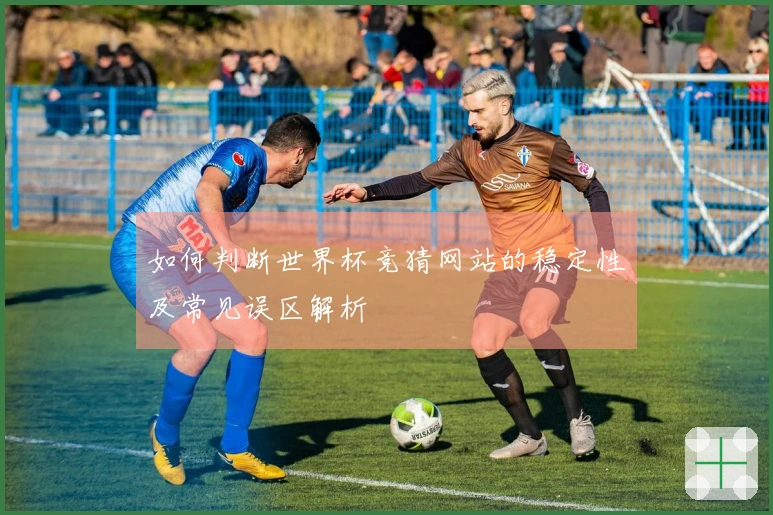 如何判断世界杯竞猜网站的稳定性及常见误区解析