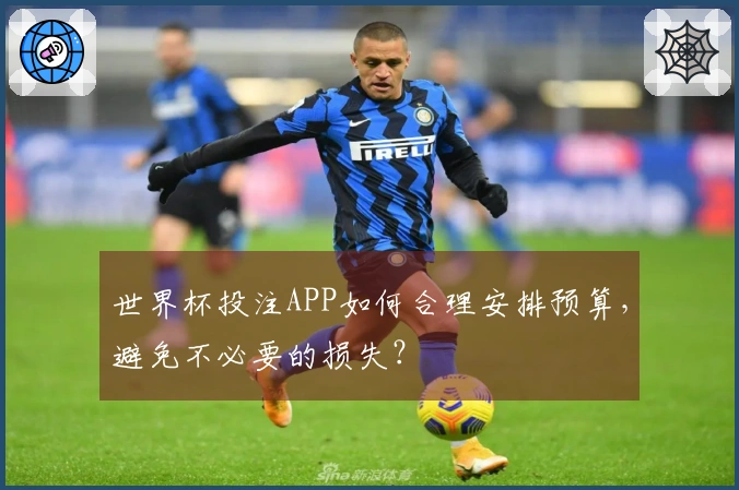 世界杯投注APP如何合理安排预算，避免不必要的损失？