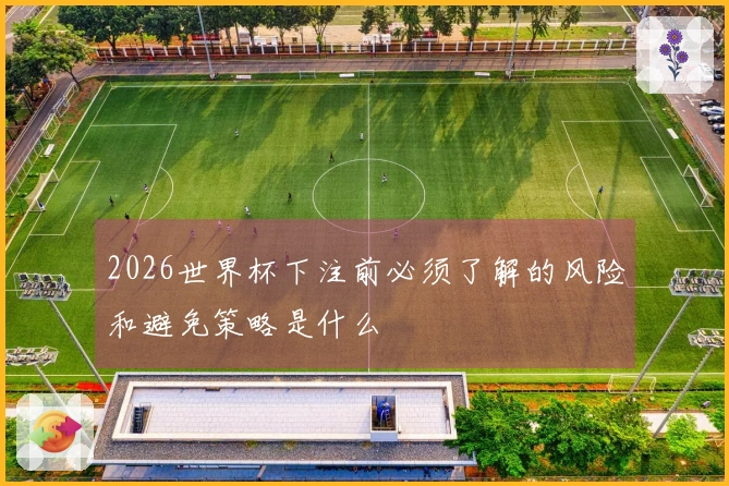 2026世界杯下注前必须了解的风险和避免策略是什么