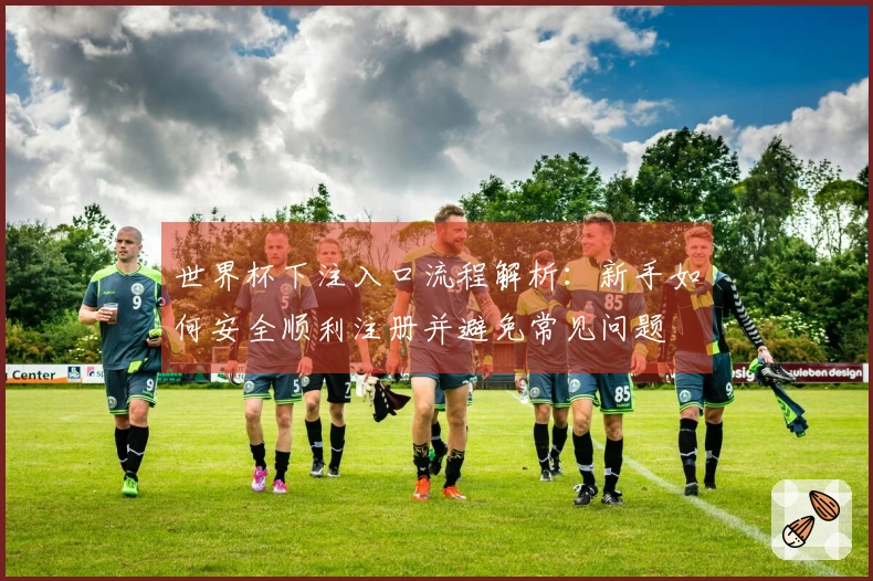 世界杯下注入口流程解析：新手如何安全顺利注册并避免常见问题
