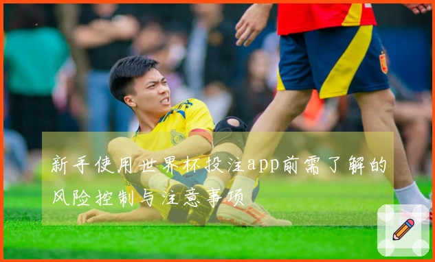 新手使用世界杯投注app前需了解的风险控制与注意事项
