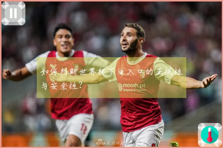 如何判断世界杯下注入口的正规性与安全性？