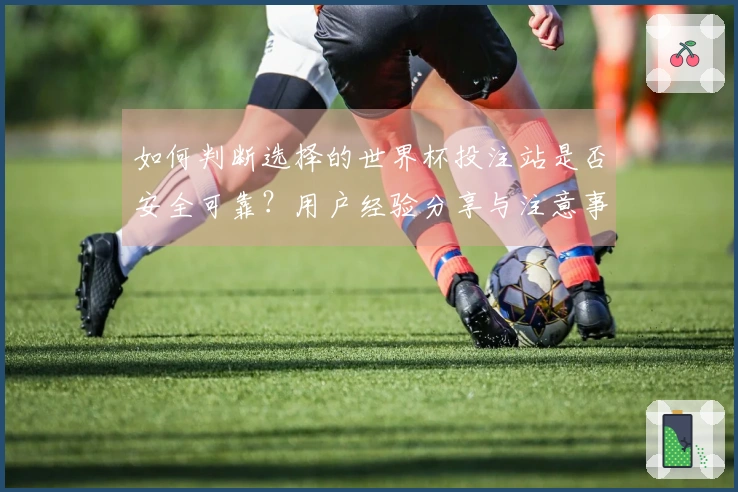 如何判断选择的世界杯投注站是否安全可靠？用户经验分享与注意事项
