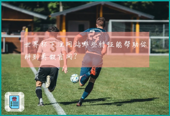 世界杯下注网站哪些特征能帮助你辨别真假官网？
