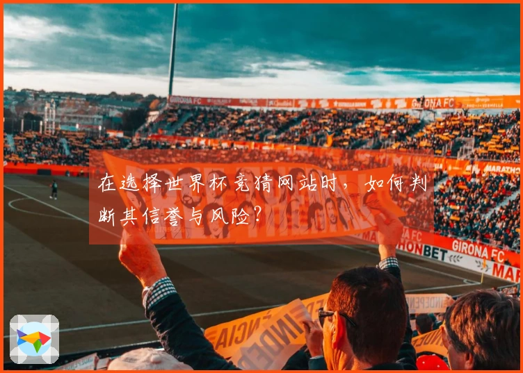 在选择世界杯竞猜网站时，如何判断其信誉与风险？