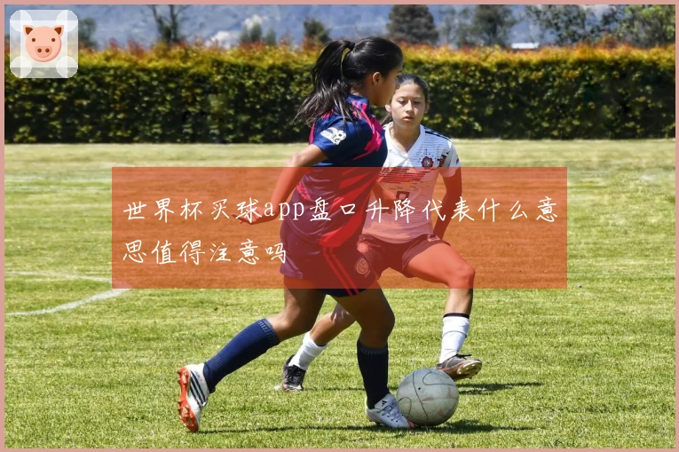世界杯买球app盘口升降代表什么意思值得注意吗