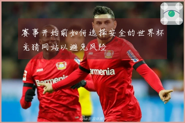 赛事开始前如何选择安全的世界杯竞猜网站以避免风险
