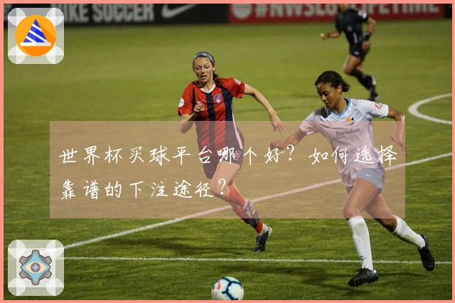 世界杯买球平台哪个好？如何选择靠谱的下注途径？