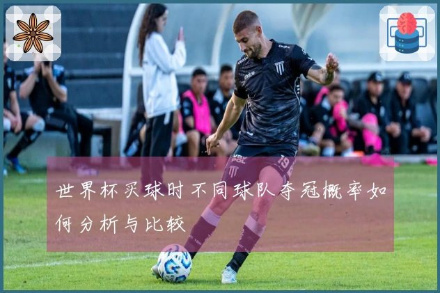 世界杯买球时不同球队夺冠概率如何分析与比较