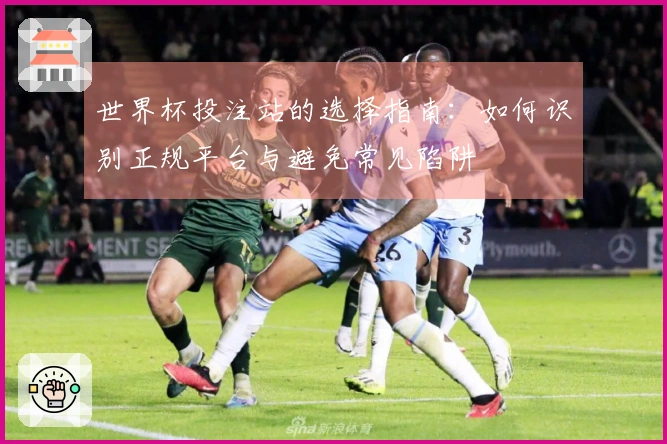 世界杯投注站的选择指南：如何识别正规平台与避免常见陷阱