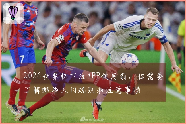 2026世界杯下注APP使用前，你需要了解哪些入门规则和注意事项