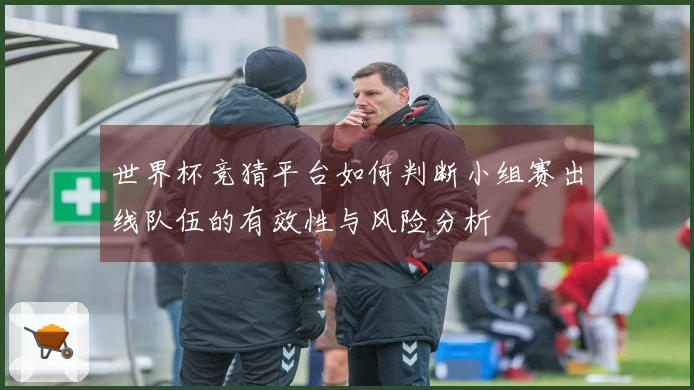 世界杯竞猜平台如何判断小组赛出线队伍的有效性与风险分析
