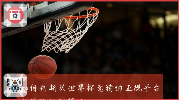 如何判断买世界杯竞猜的正规平台与风险控制策略